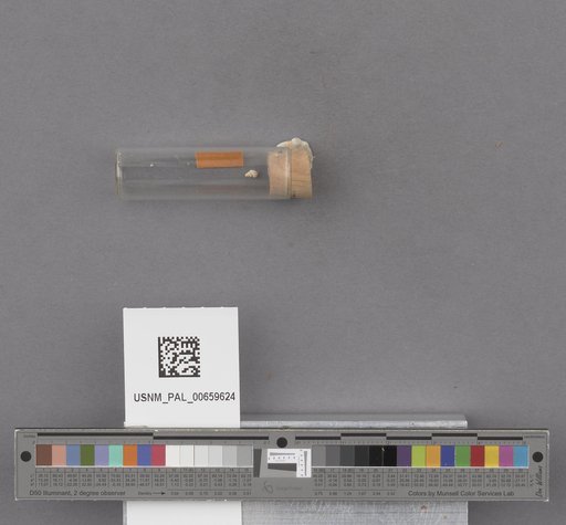 NSF ADBC EPICC TCN