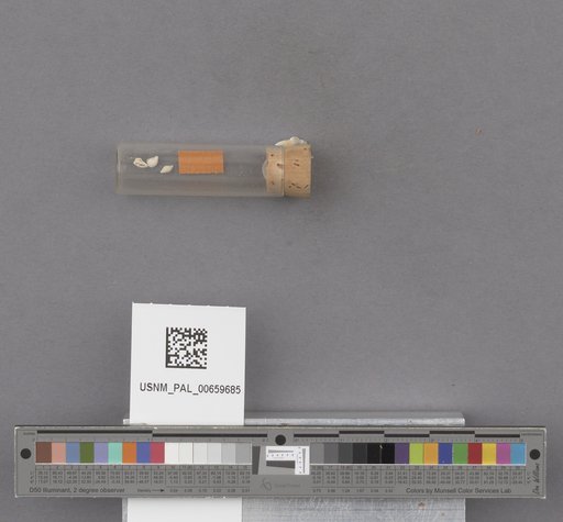 NSF ADBC EPICC TCN