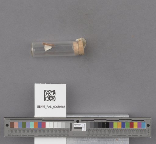 NSF ADBC EPICC TCN