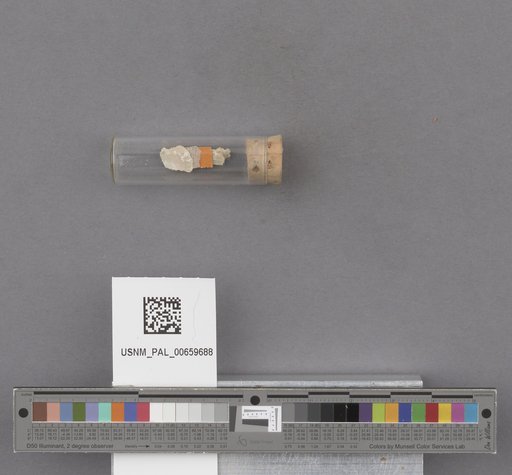 NSF ADBC EPICC TCN