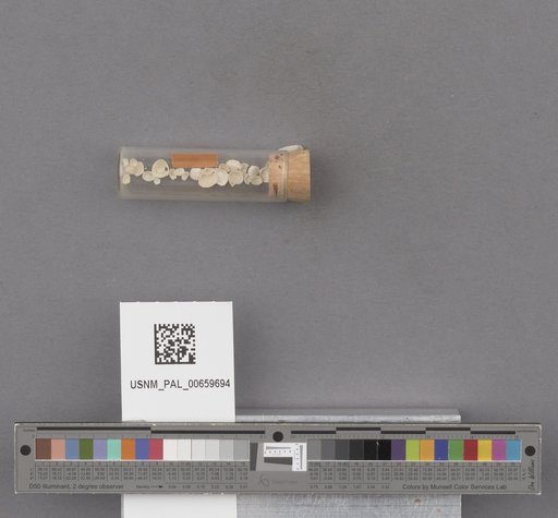 NSF ADBC EPICC TCN