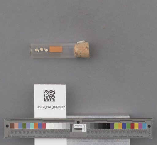 NSF ADBC EPICC TCN