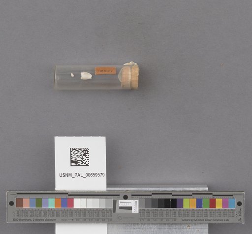 NSF ADBC EPICC TCN