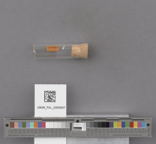 NSF ADBC EPICC TCN