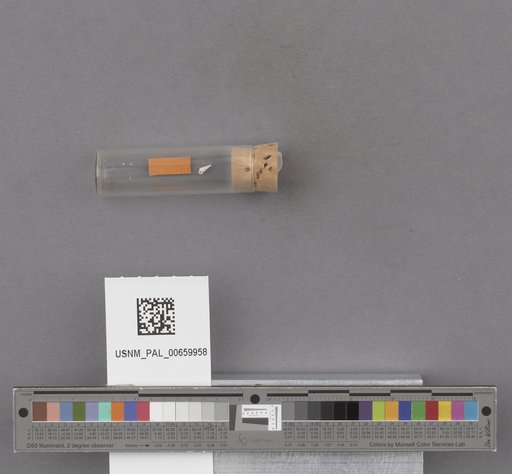 NSF ADBC EPICC TCN