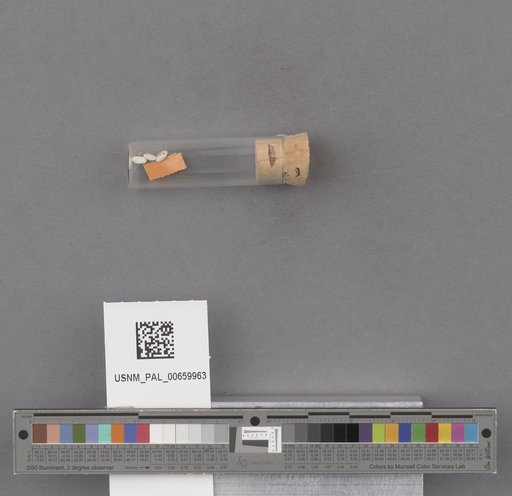NSF ADBC EPICC TCN