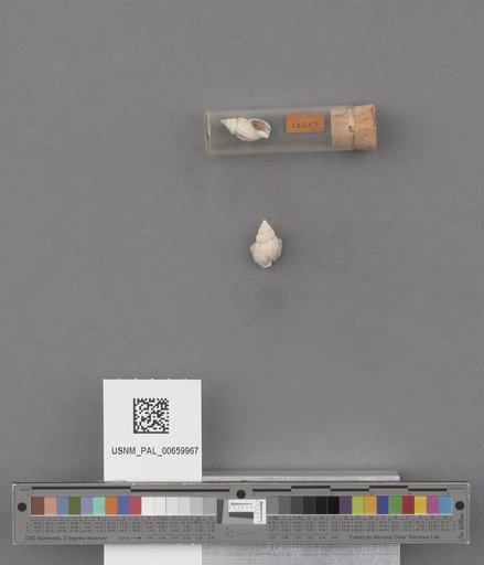 NSF ADBC EPICC TCN