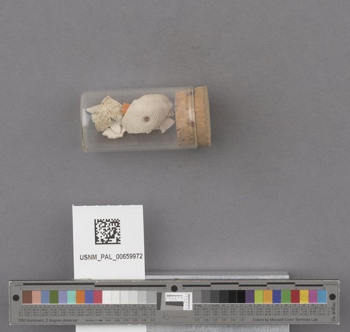 NSF ADBC EPICC TCN