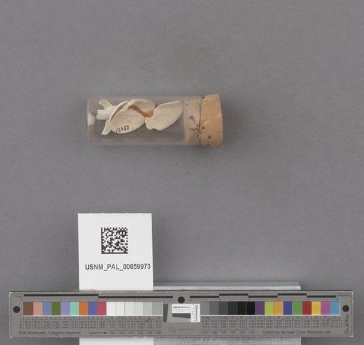 NSF ADBC EPICC TCN