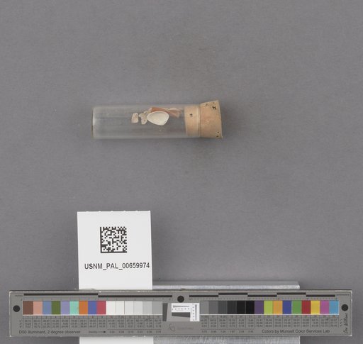 NSF ADBC EPICC TCN
