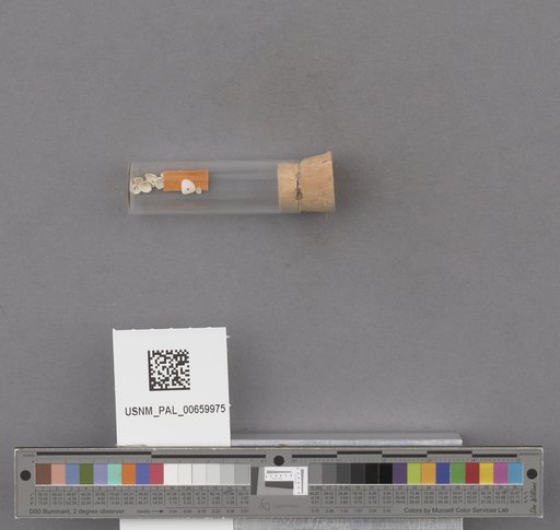 NSF ADBC EPICC TCN