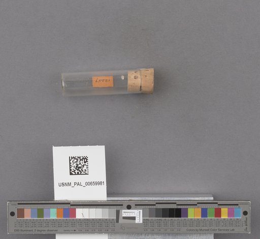 NSF ADBC EPICC TCN