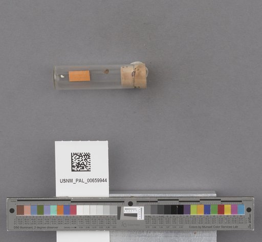 NSF ADBC EPICC TCN