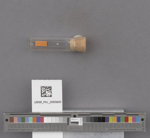 NSF ADBC EPICC TCN