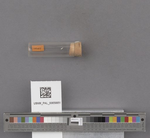 NSF ADBC EPICC TCN