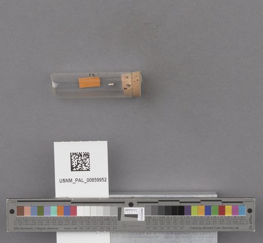 NSF ADBC EPICC TCN