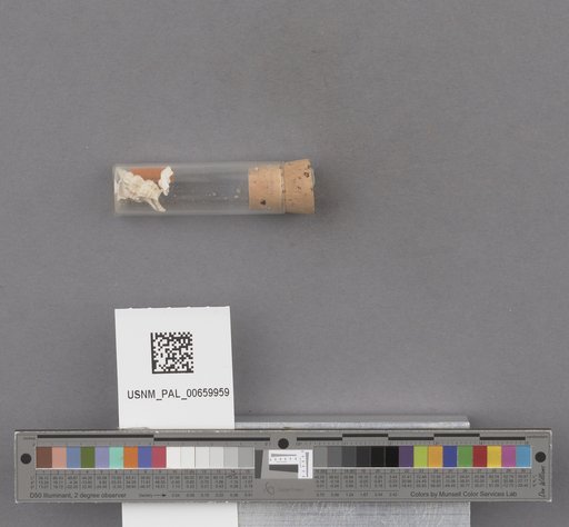 NSF ADBC EPICC TCN