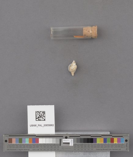 NSF ADBC EPICC TCN