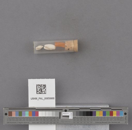 NSF ADBC EPICC TCN