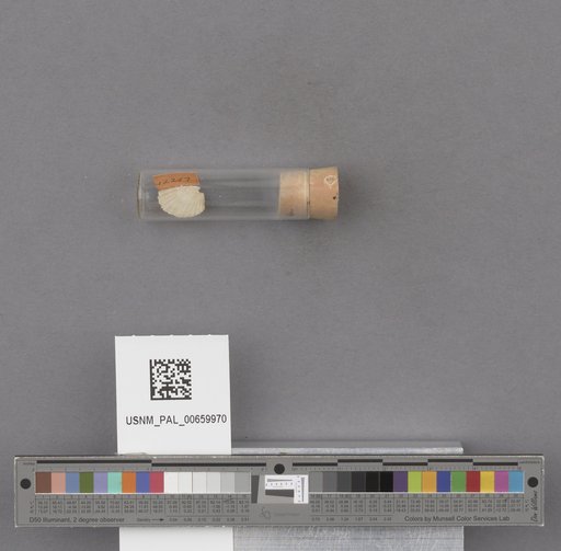 NSF ADBC EPICC TCN