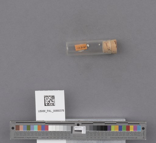 NSF ADBC EPICC TCN