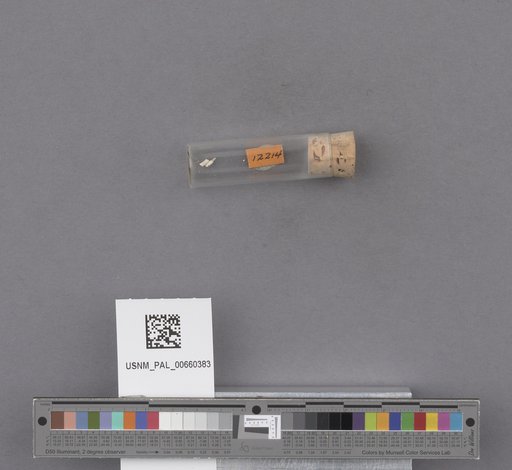 NSF ADBC EPICC TCN