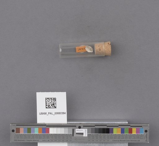 NSF ADBC EPICC TCN