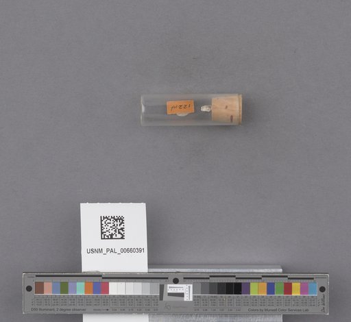 NSF ADBC EPICC TCN