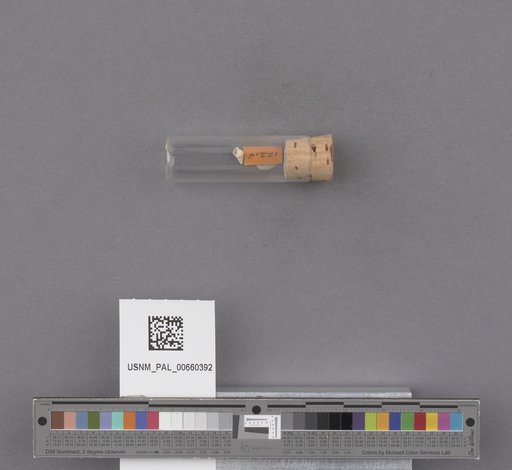 NSF ADBC EPICC TCN