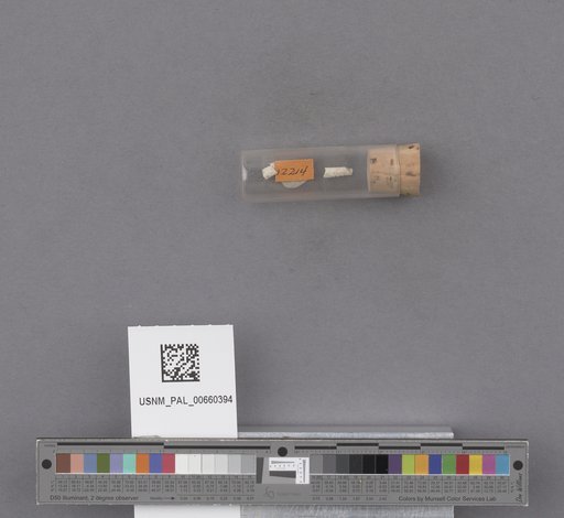 NSF ADBC EPICC TCN