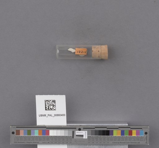 NSF ADBC EPICC TCN