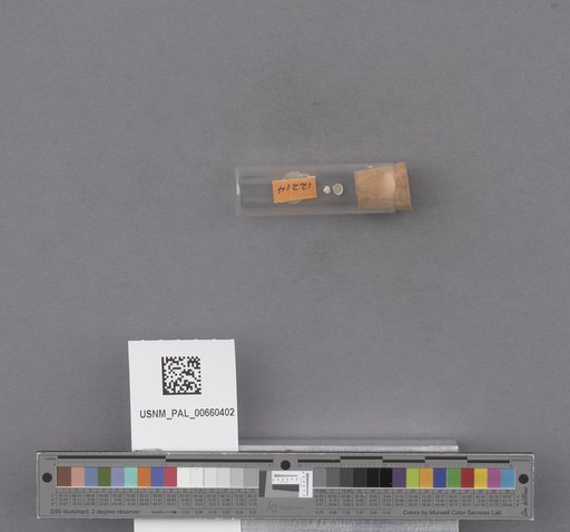 NSF ADBC EPICC TCN