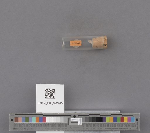 NSF ADBC EPICC TCN