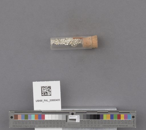 NSF ADBC EPICC TCN