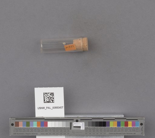 NSF ADBC EPICC TCN
