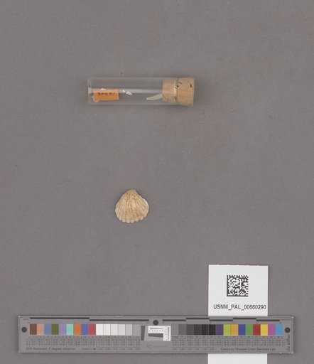 NSF ADBC EPICC TCN