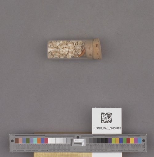 NSF ADBC EPICC TCN
