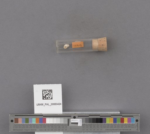 NSF ADBC EPICC TCN