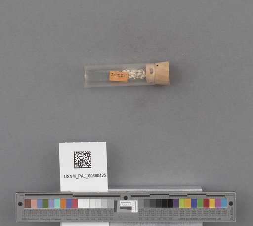 NSF ADBC EPICC TCN