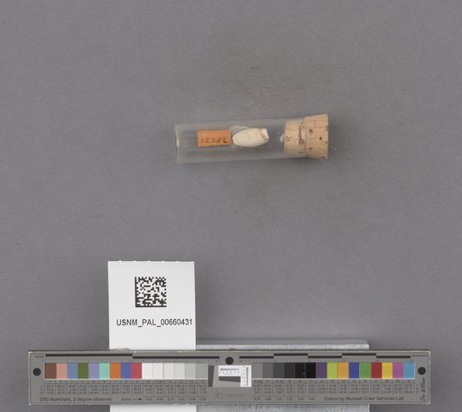 NSF ADBC EPICC TCN