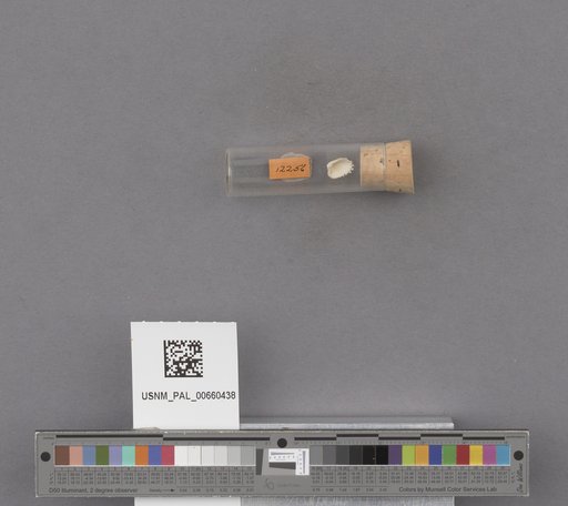 NSF ADBC EPICC TCN