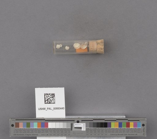 NSF ADBC EPICC TCN