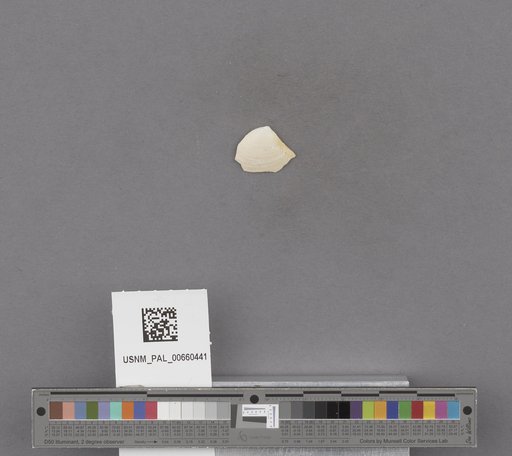 NSF ADBC EPICC TCN