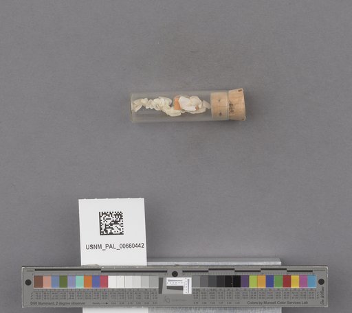 NSF ADBC EPICC TCN