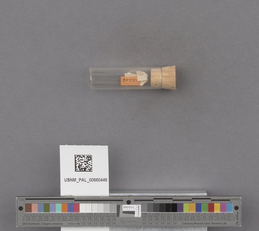 NSF ADBC EPICC TCN