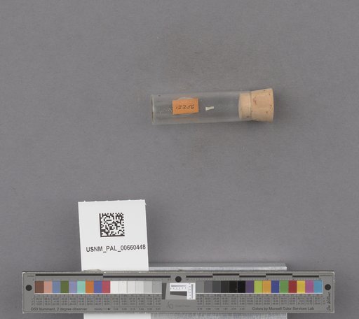 NSF ADBC EPICC TCN