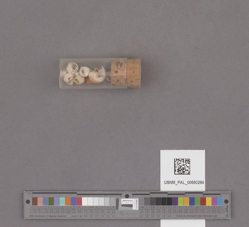 NSF ADBC EPICC TCN