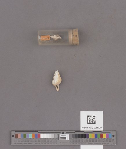 NSF ADBC EPICC TCN