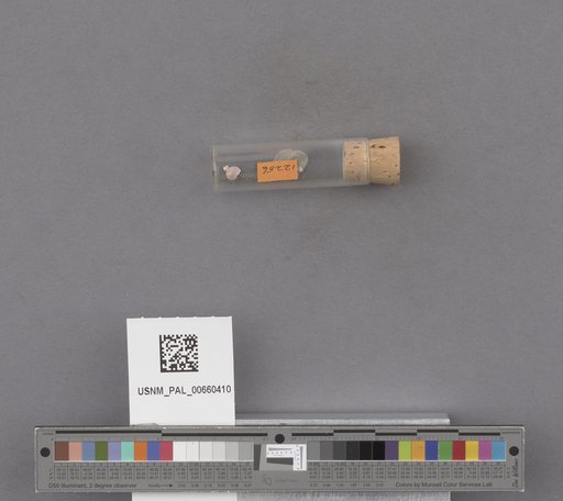 NSF ADBC EPICC TCN