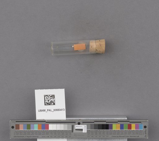 NSF ADBC EPICC TCN
